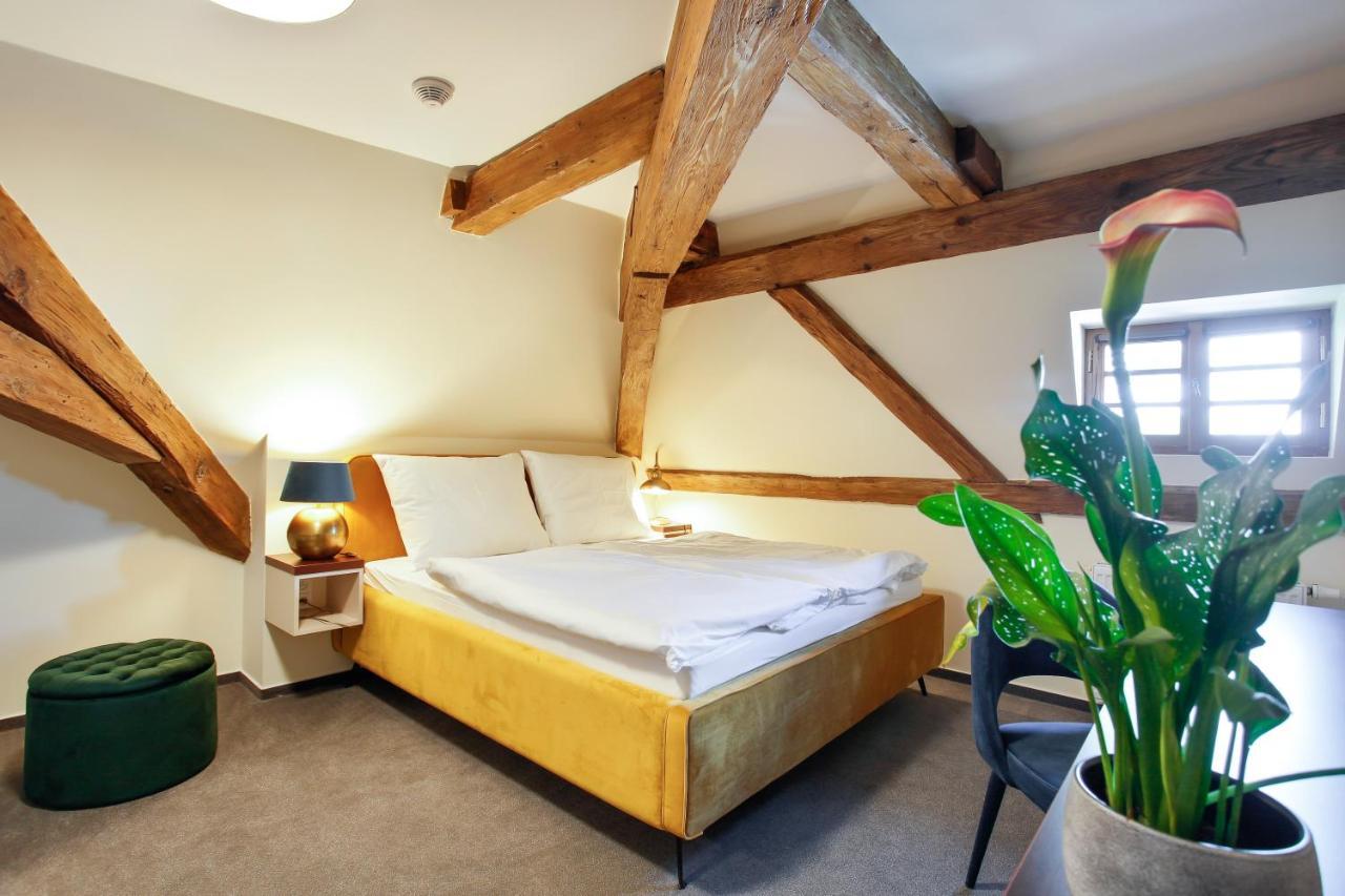 Castle Hotel & Wellness Poděbrady Екстериор снимка